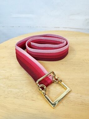 Gucci | Ombre Belt